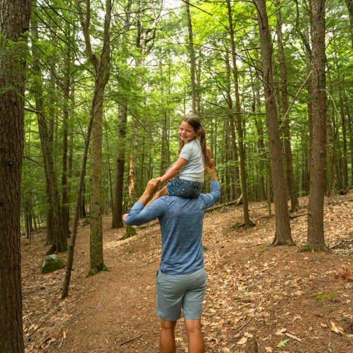 maine_content_photo1_8b9c25bc6a