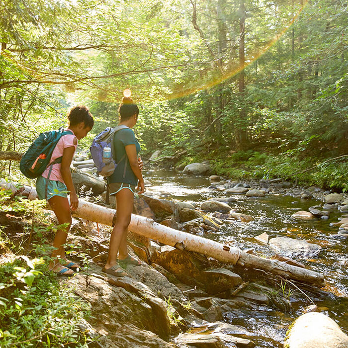 maine_content_photo1_8b9c25bc6a2